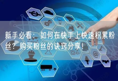 新手必看：如何在快手上快速积累粉丝？购买