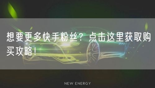 想要更多快手粉丝？点击这里获取购买攻略！