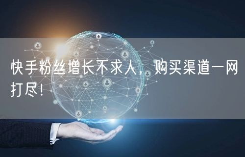 快手粉丝增长不求人，购买渠道一网打尽！