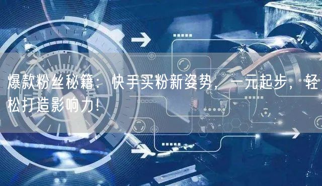 爆款粉丝秘籍：快手买粉新姿势，一元起步，轻松打造影响力！