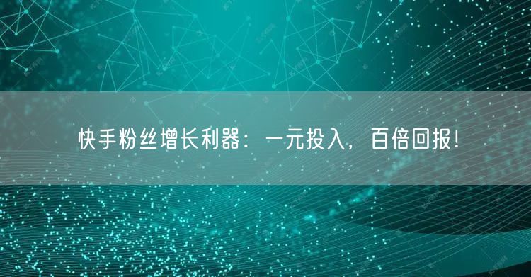 快手粉丝增长利器：一元投入，百倍回报！