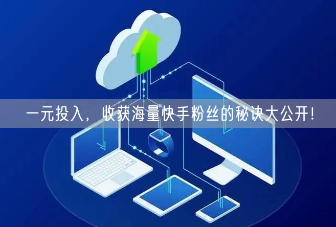 一元投入，收获海量快手粉丝的秘诀大公开！