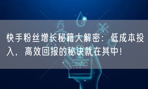 快手粉丝增长秘籍大解密：低成本投入，高效