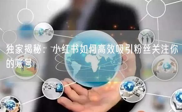 独家揭秘：小红书如何高效吸引粉丝关注你的账号