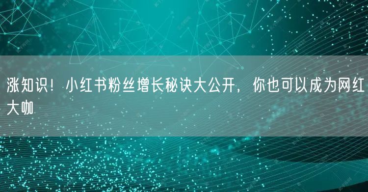 涨知识！小红书粉丝增长秘诀大公开，你也可以成为网红大咖
