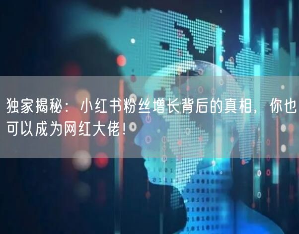 独家揭秘：小红书粉丝增长背后的真相，你也可以成为网红大佬！