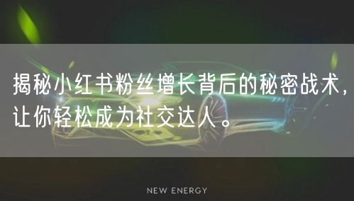 揭秘小红书粉丝增长背后的秘密战术，让你轻松成为社交达人。