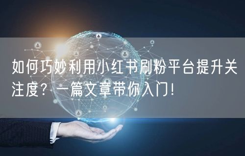 如何巧妙利用小红书刷粉平台提升关注度？一篇文章带你入门！