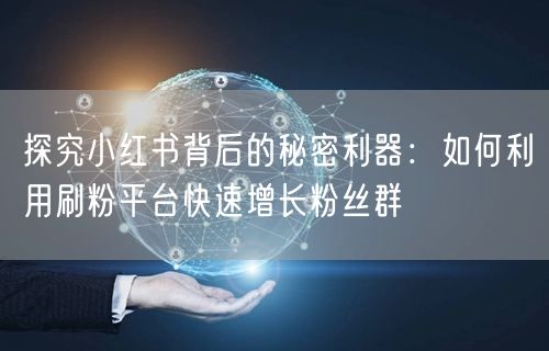 探究小红书背后的秘密利器：如何利用刷粉平台快速增长粉丝群