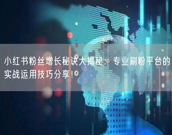 小红书粉丝增长秘诀大揭秘：专业刷粉平台的实战运用技巧分享！