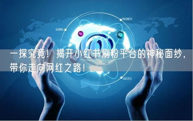 一探究竟！揭开小红书刷粉平台的神秘面纱，带你走向网红之路！