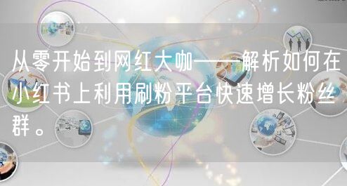 从零开始到网红大咖——解析如何在小红书上利用刷粉平台快速增长粉丝群。