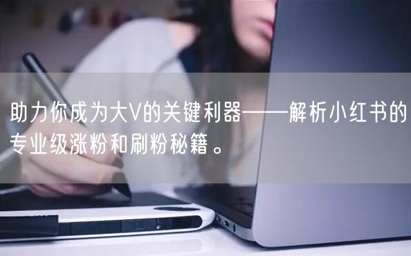 助力你成为大V的关键利器——解析小红书的专业级涨粉和刷粉秘籍。
