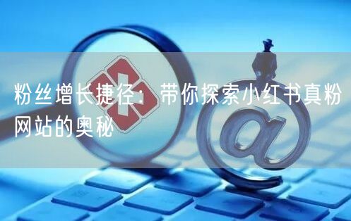 粉丝增长捷径：带你探索小红书真粉网站的奥秘