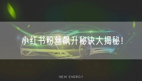 小红书粉丝飙升秘诀大揭秘！