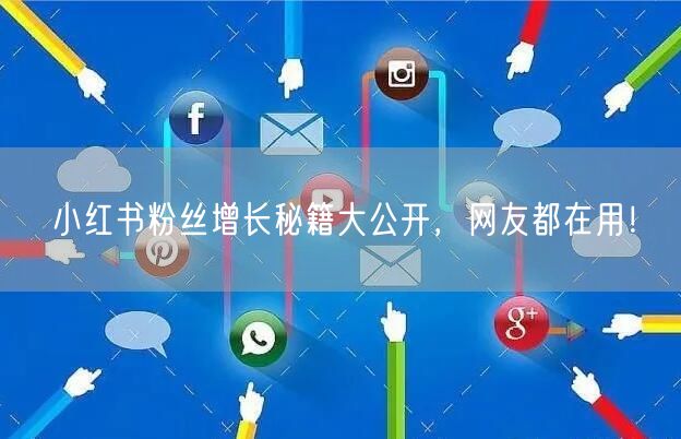 小红书粉丝增长秘籍大公开，网友都在用！