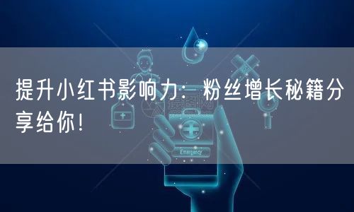 提升小红书影响力：粉丝增长秘籍分享给你！