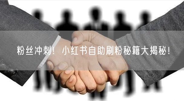 粉丝冲刺！小红书自助刷粉秘籍大揭秘！