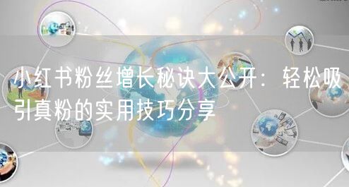 小红书粉丝增长秘诀大公开：轻松吸引真粉的实用技巧分享