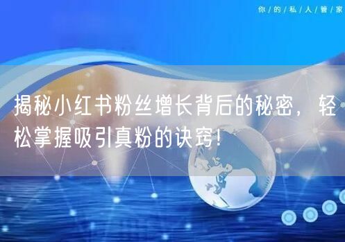揭秘小红书粉丝增长背后的秘密，轻松掌握吸引真粉的诀窍！