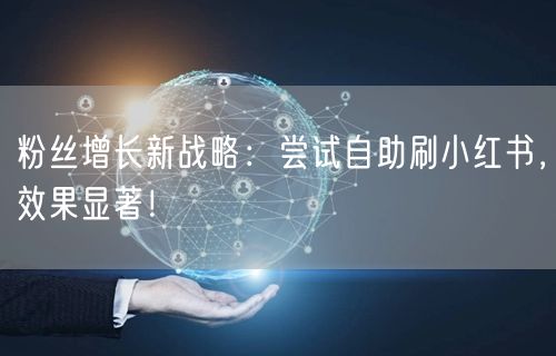 粉丝增长新战略：尝试自助刷小红书，效果显著！
