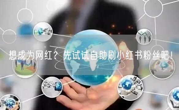 想成为网红？先试试自助刷小红书粉丝吧！