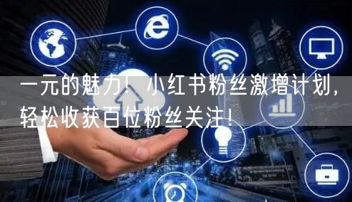 一元的魅力！小红书粉丝激增计划，轻松收获百位粉丝关注！