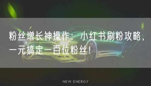 粉丝增长神操作：小红书刷粉攻略，一元搞定一百位粉丝！