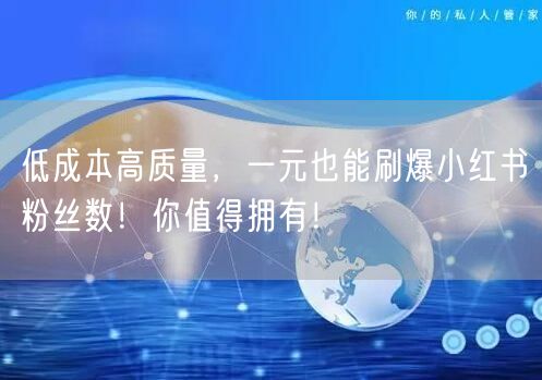 低成本高质量，一元也能刷爆小红书粉丝数！你值得拥有！