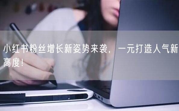 小红书粉丝增长新姿势来袭，一元打造人气新高度！