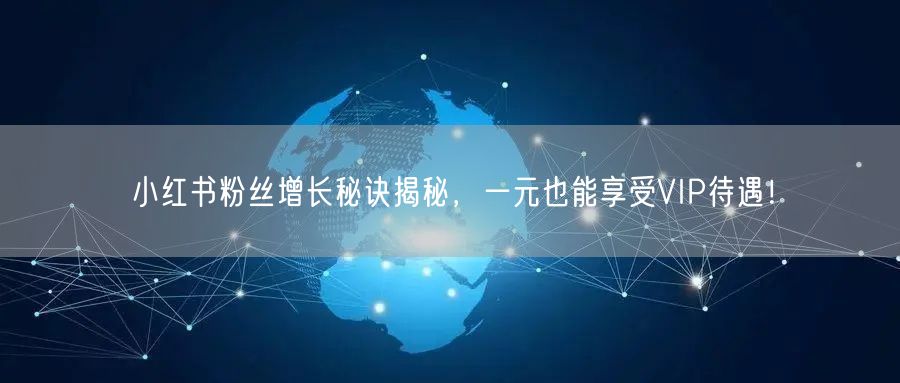 小红书粉丝增长秘诀揭秘，一元也能享受VIP待遇！
