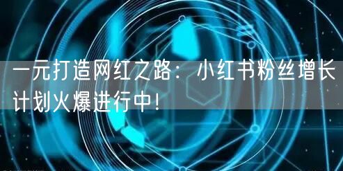 一元打造网红之路：小红书粉丝增长计划火爆