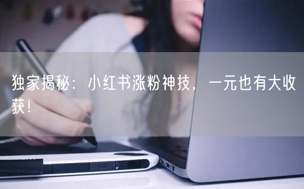 独家揭秘：小红书涨粉神技，一元也有大收获