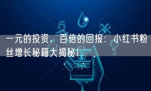 一元的投资，百倍的回报：小红书粉丝增长秘籍大揭秘！