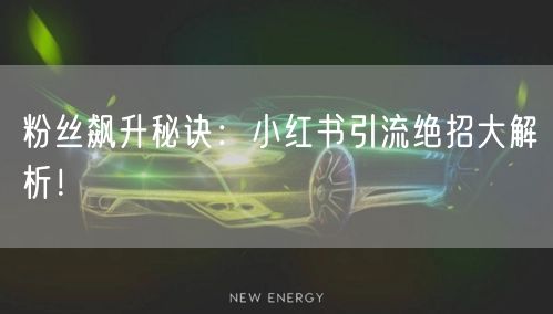 粉丝飙升秘诀：小红书引流绝招大解析！