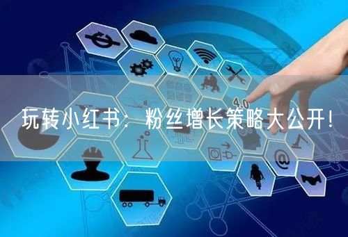 玩转小红书：粉丝增长策略大公开！