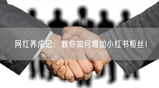 网红养成记：教你如何增加小红书粉丝！