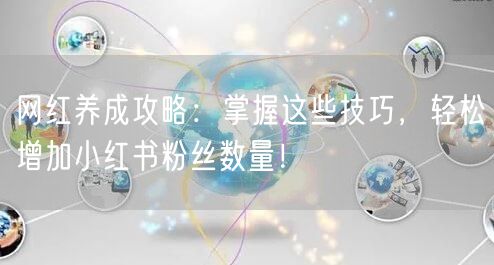 网红养成攻略：掌握这些技巧，轻松增加小红