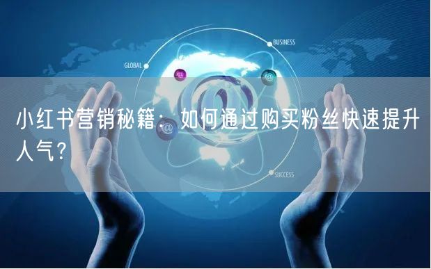 小红书营销秘籍：如何通过购买粉丝快速提升人气？
