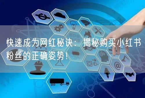快速成为网红秘诀：揭秘购买小红书粉丝的正确姿势！