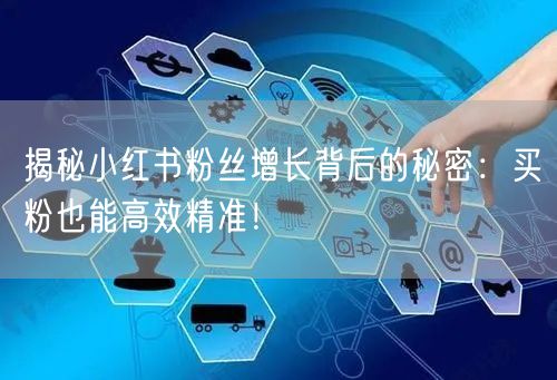 揭秘小红书粉丝增长背后的秘密：买粉也能高效精准！