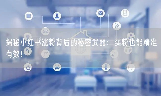 揭秘小红书涨粉背后的秘密武器：买粉也能精