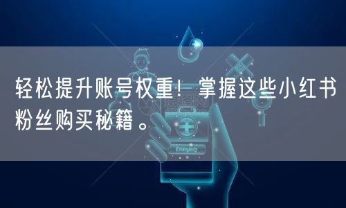 轻松提升账号权重！掌握这些小红书粉丝购买秘籍。