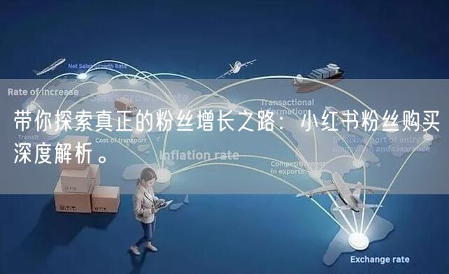 带你探索真正的粉丝增长之路：小红书粉丝购买深度解析。