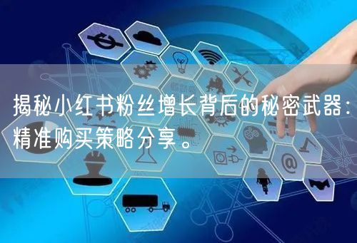 揭秘小红书粉丝增长背后的秘密武器：精准购买策略分享。