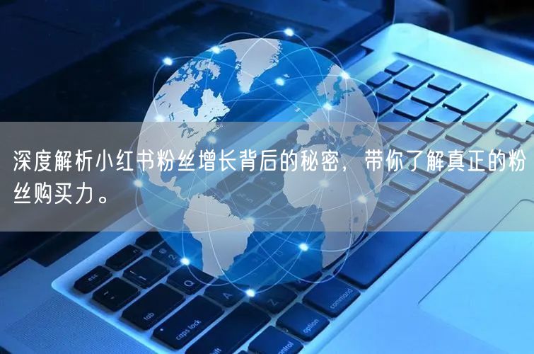 深度解析小红书粉丝增长背后的秘密，带你了解真正的粉丝购买力。