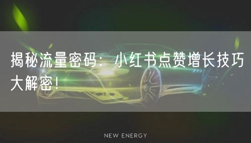 揭秘流量密码：小红书点赞增长技巧大解密！