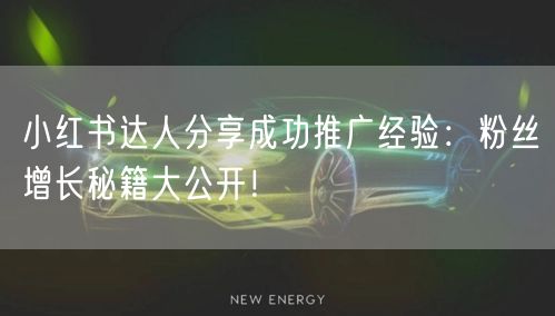 小红书达人分享成功推广经验：粉丝增长秘籍大公开！