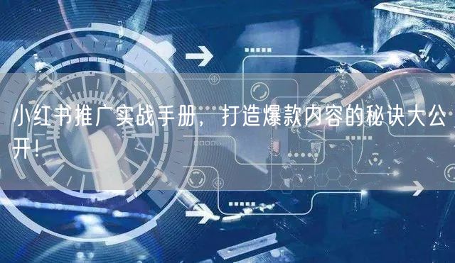 小红书推广实战手册，打造爆款内容的秘诀大
