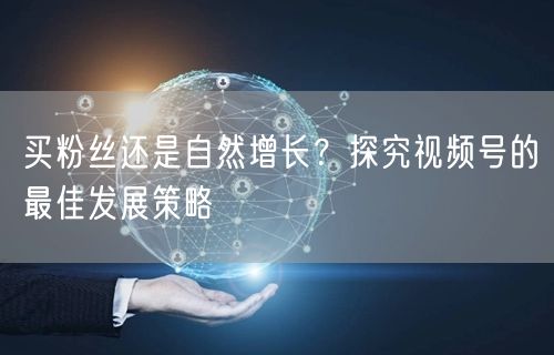 买粉丝还是自然增长？探究视频号的最佳发展